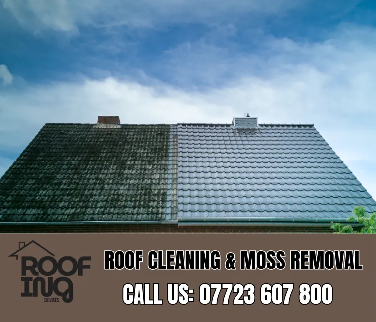 Roof cleaning and moss removal in Boscastle